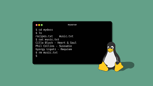 Linux Command Line Interface